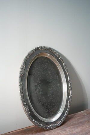Steel Dish