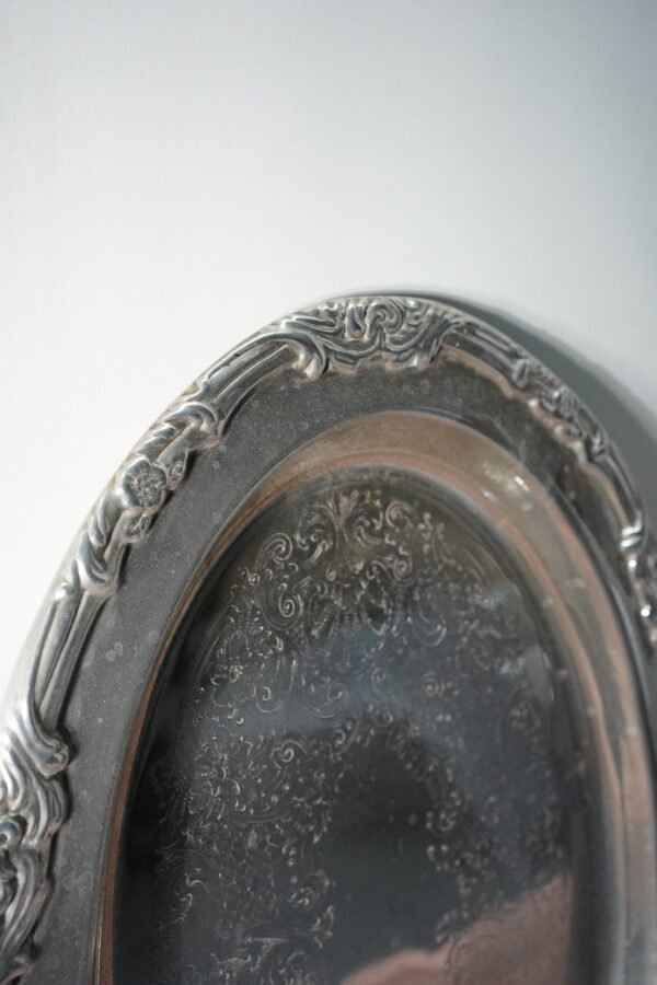 Steel Dish - Image 4