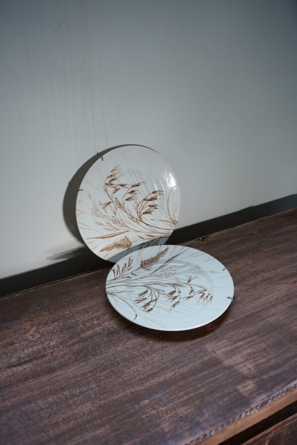 Hanging Plates