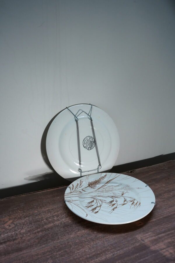 Hanging Plates - Image 2