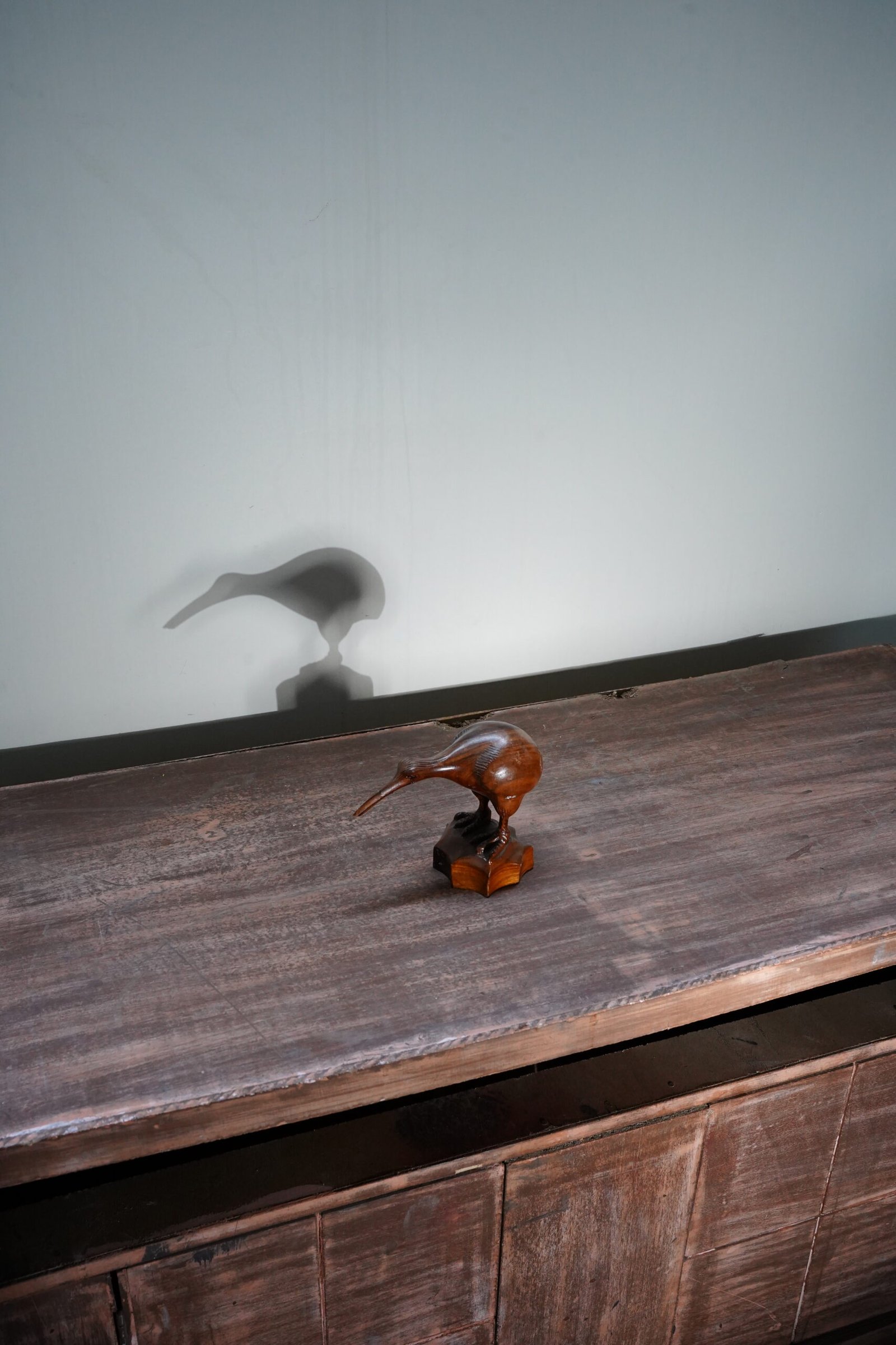 Wooden Kiwi Sculpture