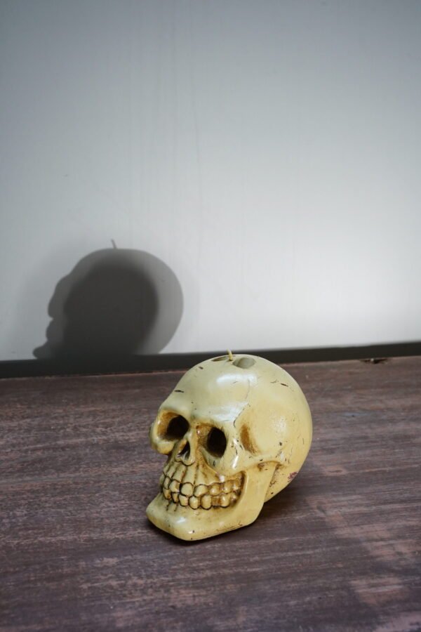 Skull Candle - Image 2