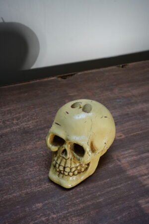 Skull Candle