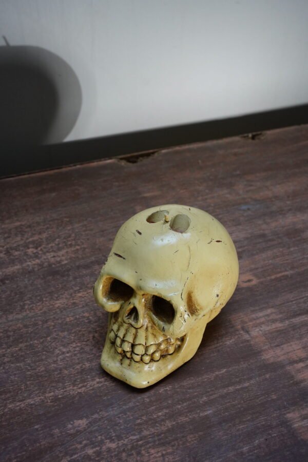 Skull Candle