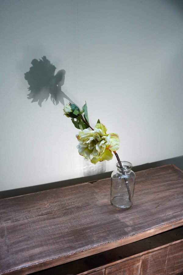 Plain Glass Vase